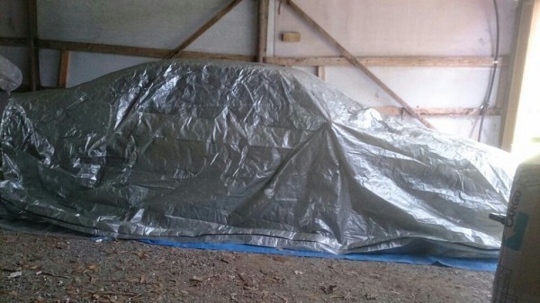 Car cover 5 - covered